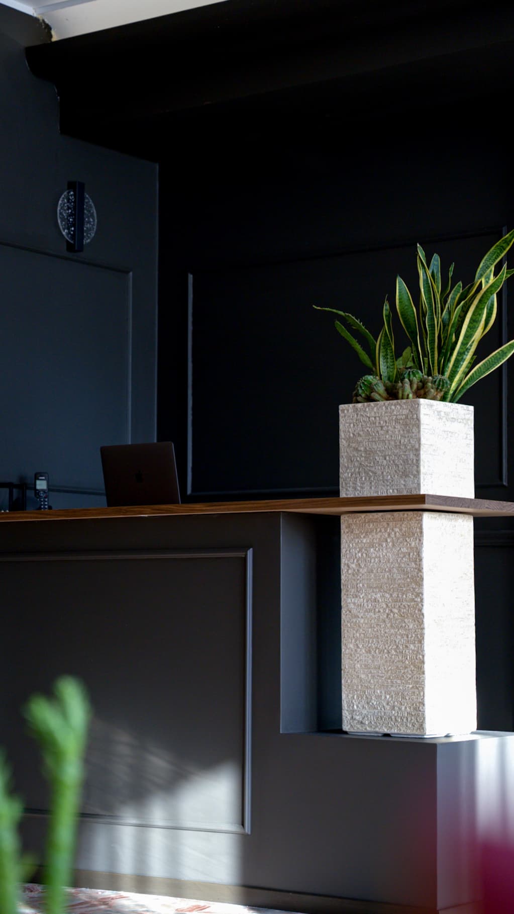 Dettaglio della reception con sansevieria in un vaso di travertino